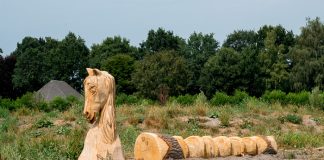 Retentiegebied Molenbeek krijgt ook een speelfunctie