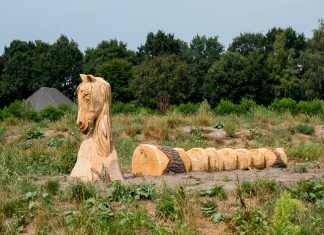 Retentiegebied Molenbeek krijgt ook een speelfunctie