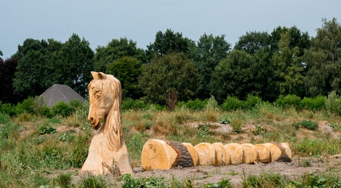 Retentiegebied Molenbeek krijgt ook een speelfunctie