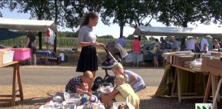 Grote Veluwse Boekenmarkt in Elspeet