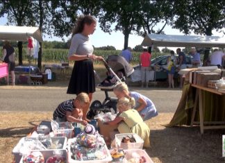 Grote Veluwse Boekenmarkt in Elspeet