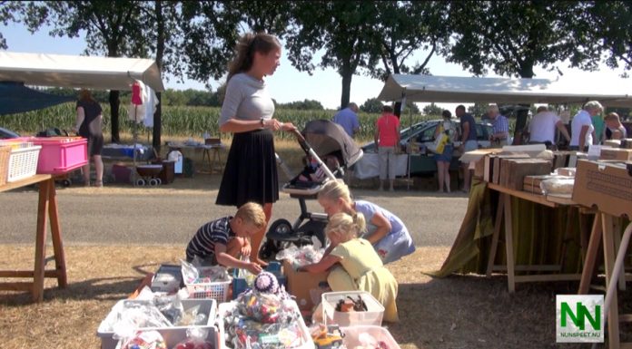 Grote Veluwse Boekenmarkt in Elspeet
