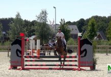 Kringkampioenschappen bij ponyclub Klein Maar Dapper