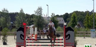 Kringkampioenschappen bij ponyclub Klein Maar Dapper