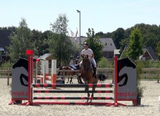Kringkampioenschappen bij ponyclub Klein Maar Dapper