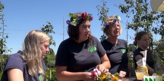 Hulpboeren in actie op De Grote Wiede