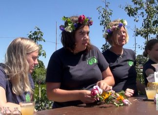 Hulpboeren in actie op De Grote Wiede