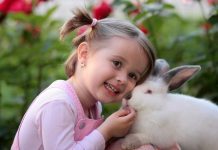 Nogmaals actie bescherm je konijn