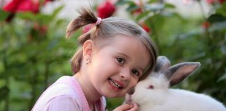 Konijnen vaccinatie bij Dierspecialist Berben