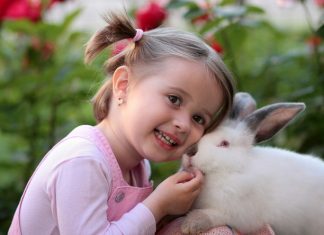 Konijnen vaccinatie bij Dierspecialist Berben