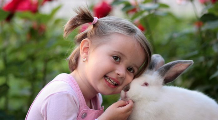 Konijnen vaccinatie bij Dierspecialist Berben