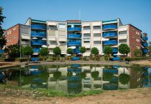 Blauwalgen aangetroffen in vijver Poort van ’t Hul