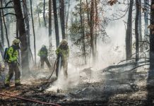 Brandweer rukt massaal uit na melding van een bosbrand