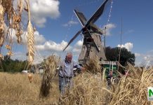 Show- en gezinsdag met oldtimershow