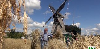 Show- en gezinsdag met oldtimershow