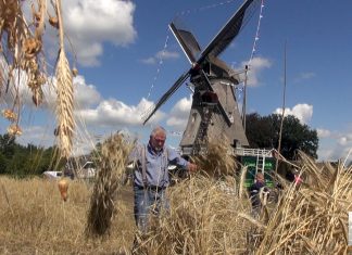 Show- en gezinsdag met oldtimershow