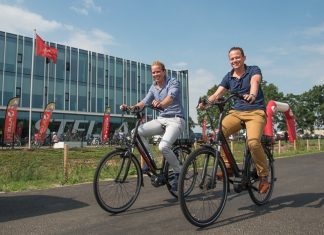 De jonge sterren van Stella