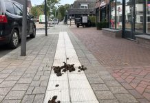 Poep op de stoep