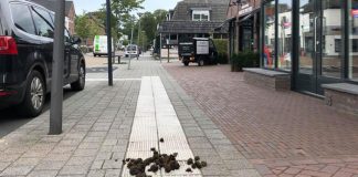 Poep op de stoep