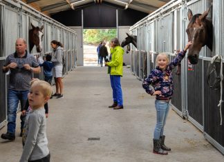 Luxe verblijf voor paarden bij Camping Samoza