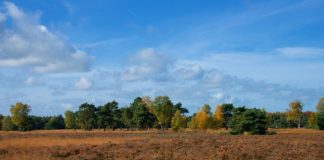 Speulderbos fietsroute