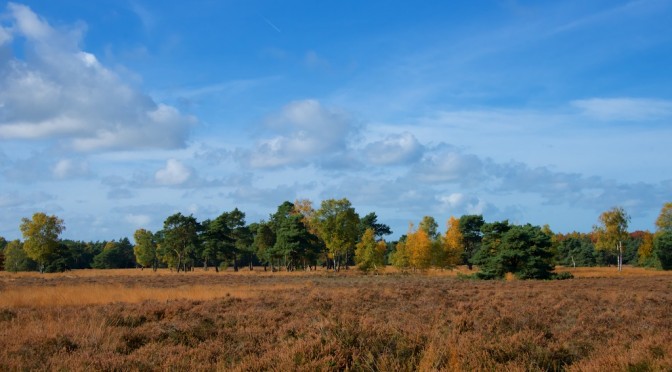 Speulderbos fietsroute