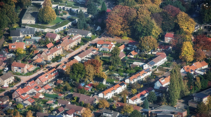 Inventarisatie monumentale bomen
