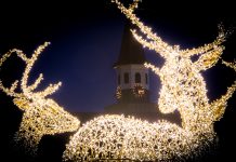 Hartverwarmend ‘WinterLicht Nunspeet’