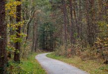 Honden vergiftigd omgeving Belvederebos