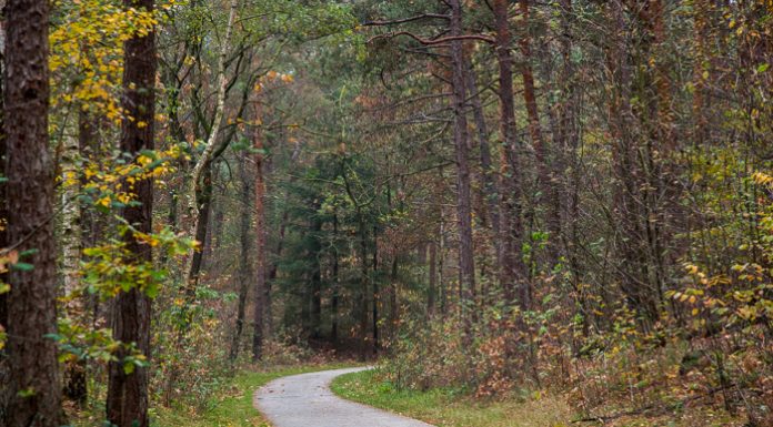 Honden vergiftigd omgeving Belvederebos
