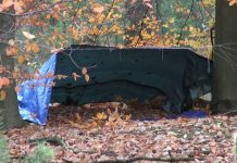 Onbekenden onder invloed van Ice Tea overnachten in het bos