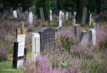 Veel beplanting dood op de begraafplaats Elspeet