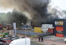 Eindrapportage Stella-brand