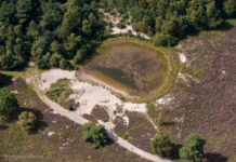 Waschkolk wordt verboden gebied voor honden