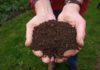Zaterdag 30 maart gratis compost