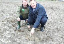 Eerste Kievitsei Nunspeet gevonden door Henk Bijlsma