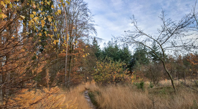 Gemeentebelang blijft kritisch op provincie over afsluiten paden