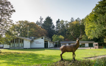 Nieuwe Rotaryclub Nunspeet 4Woods: verbind, deel en doe!