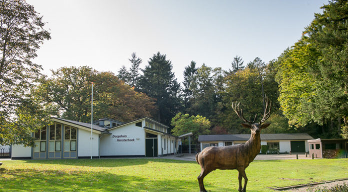 Nieuwe Rotaryclub Nunspeet 4Woods: verbind, deel en doe!