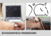 Echografisch onderzoek bij Veramente Fysiotherapie