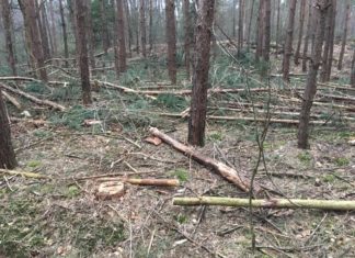 Gert Wentzel zit met een dilemma