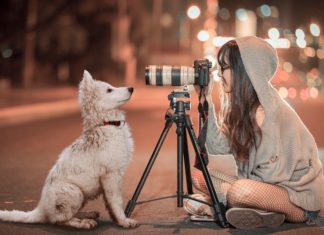 Fotoshoot bij Dierspecialist Berben