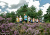 Aftellen naar de 11e Nunspeetse Heideloop