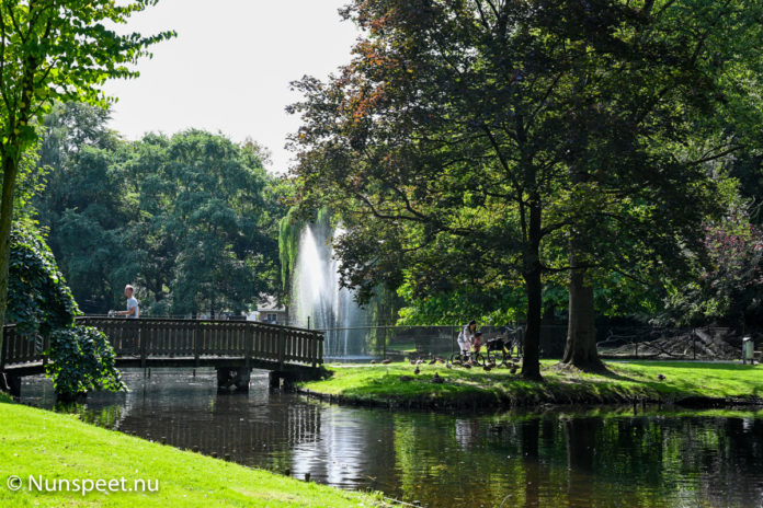 Nunspeet - Edzard Koningspark