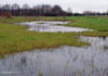 Herstel en versterking natuurgebied Bloemkampen