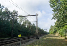 Ook bomenkap langs de spoorlijn