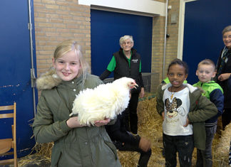 Kleindierenshow Ons Ideaal Kleindiersport vereniging Ons Ideaal Nunspeet