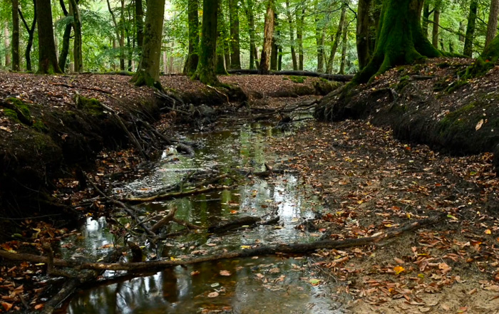 De Hierdense Beek stroomt weer Nunspeet.nu