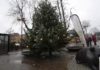 Kerstboom op het Stationsplein