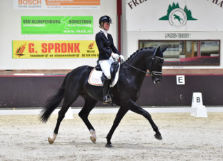 Meerdere kringkampioenen voor de Nunspeetse Ruiterclub